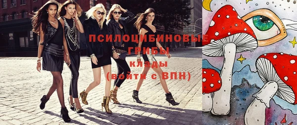 хмурый Абинск