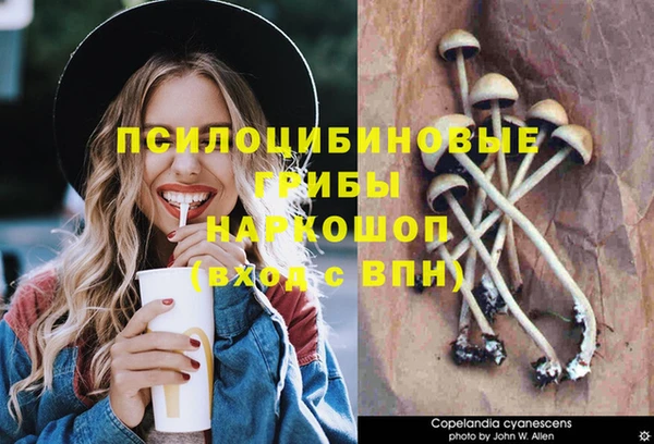 дмт Абдулино