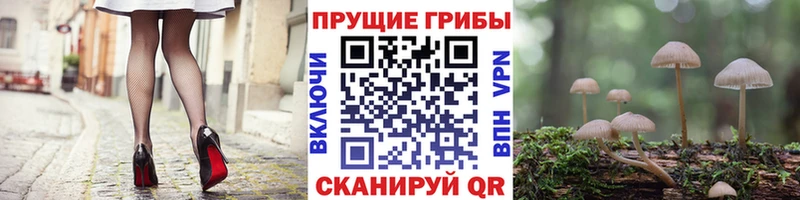 Галлюциногенные грибы Cubensis купить цена кракен онион Ивантеевка