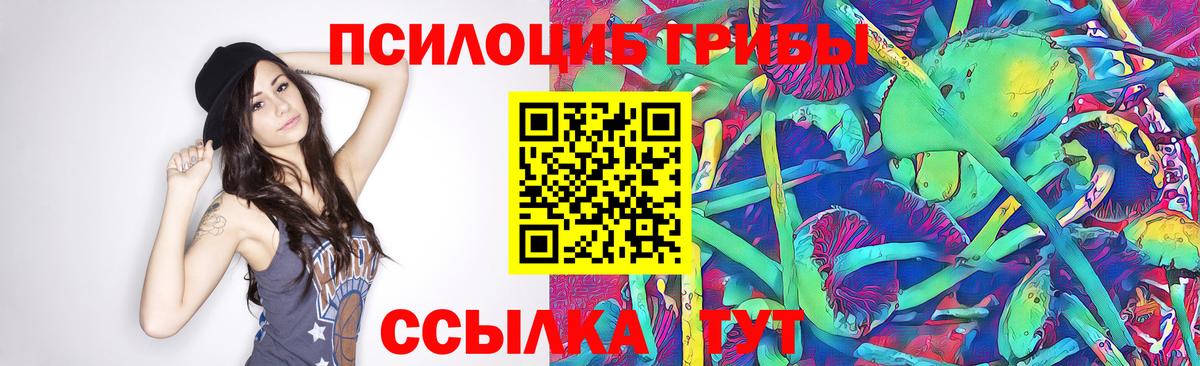 Псилоцибиновые грибы MAGIC MUSHROOMS  Галлюциногенные грибы Cubensis  Ивантеевка  Вход с VPN 