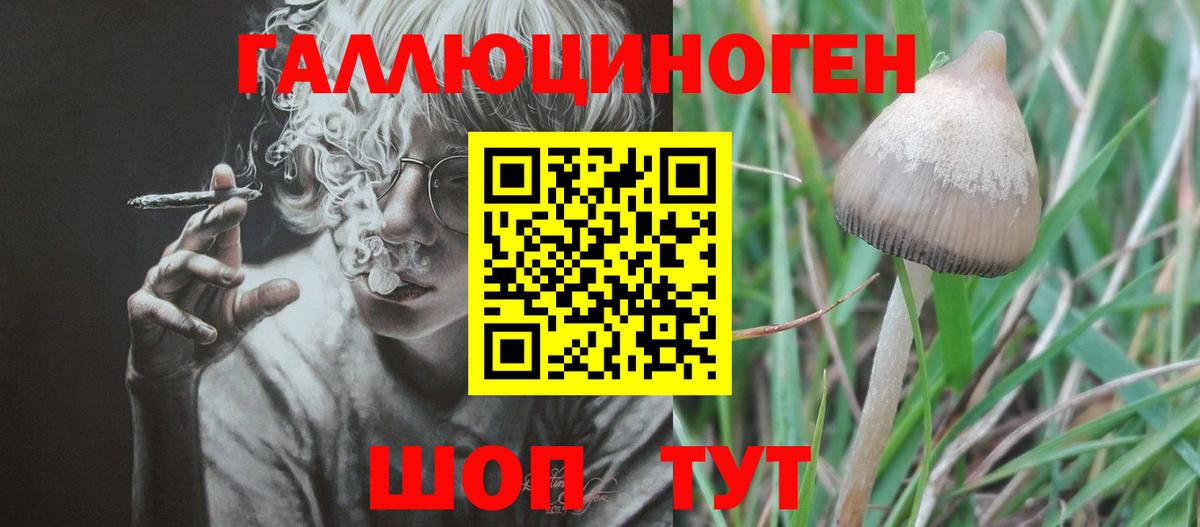 Псилоцибиновые грибы Cubensis Ивантеевка